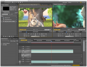 Formation adobe-premiere-cs5 à bruxelles jl gestion Formation adobe-premiere-cs5 à bruxelles jl gestion